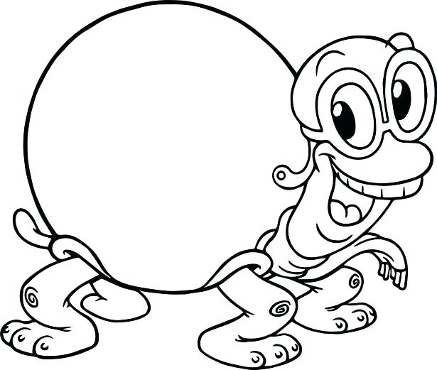 615x521 Tortoise Coloring Page Strong Shell Tortoise Coloring Pages