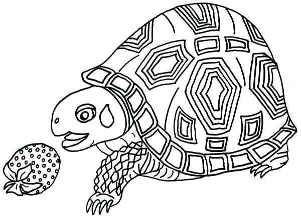 600x438 Hare Tortoise Coloring Pages Professional