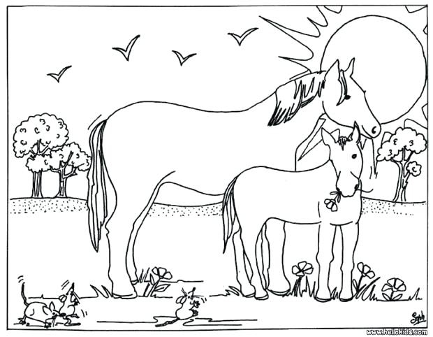 620x482 Cool Horse Coloring Pages