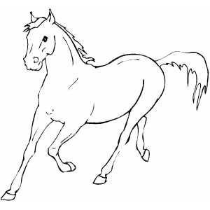 300x300 Dinosaur Coloring Pages Horse Coloring Pageshorse Coloring