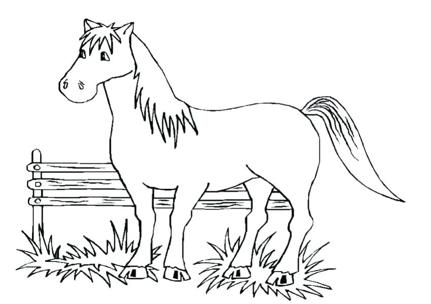850x601 Horse Colouring Pages Galloping Horse Horses Coloring Page Mare