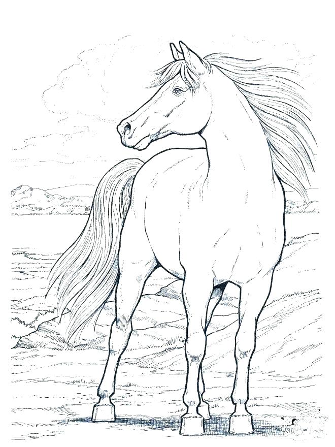 660x880 Race Horse Coloring Pages Horse Coloring Page Horse Coloring Page