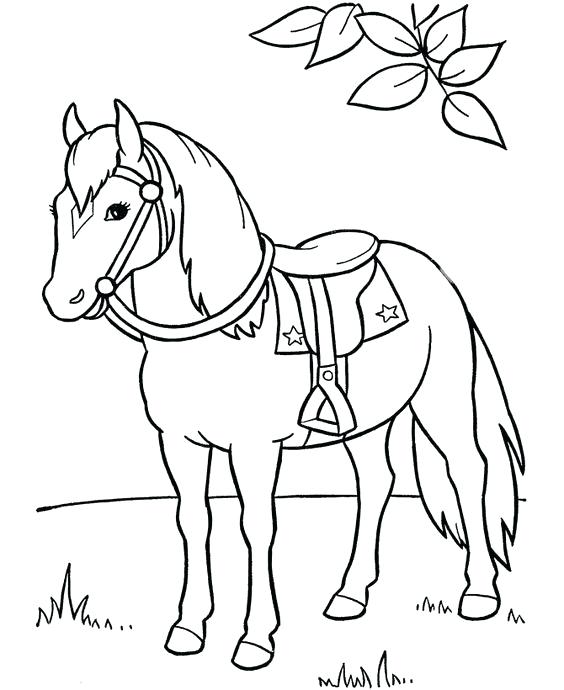 564x690 Spirit Horse Coloring Pages Spirit Horse Pictures To Color