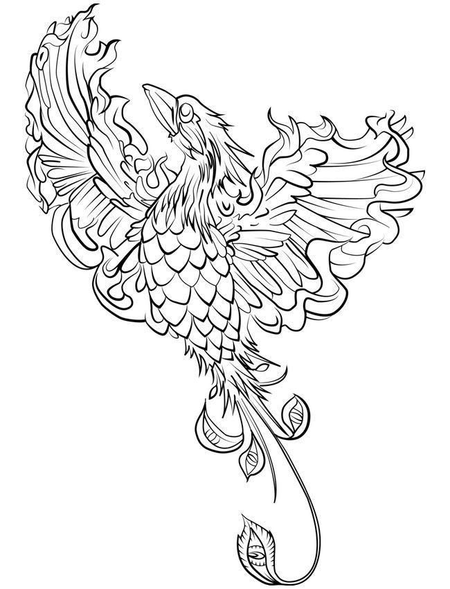 650x850 Image Result For Game Of Thrones Coloring Pages Pheonix Coloring