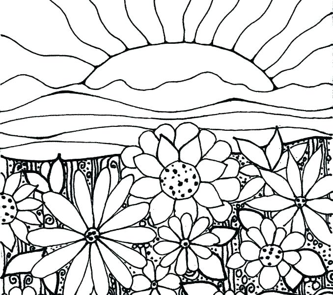 678x600 Flower Garden Coloring Page Butterfly With Flower In The Garden