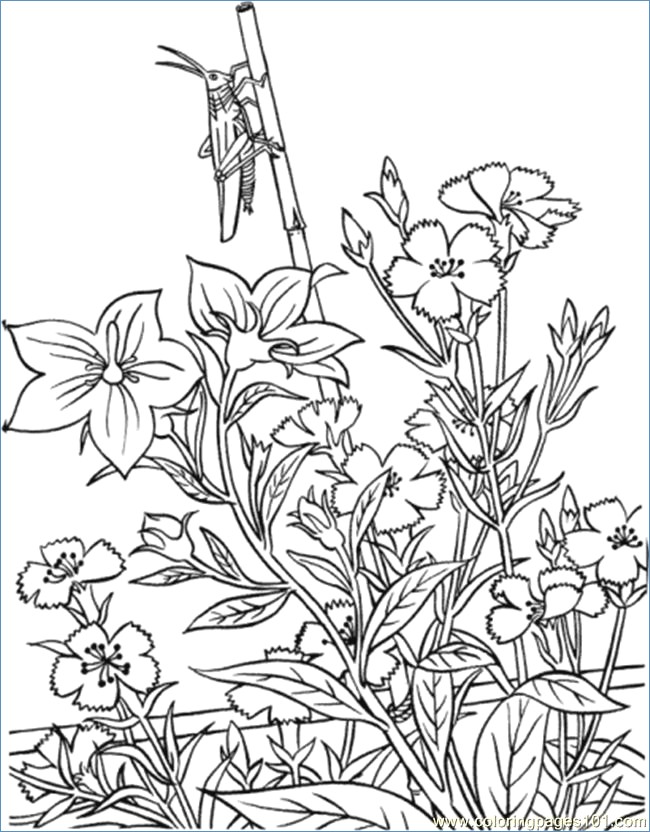 650x832 Flower Garden Coloring Pages Printable