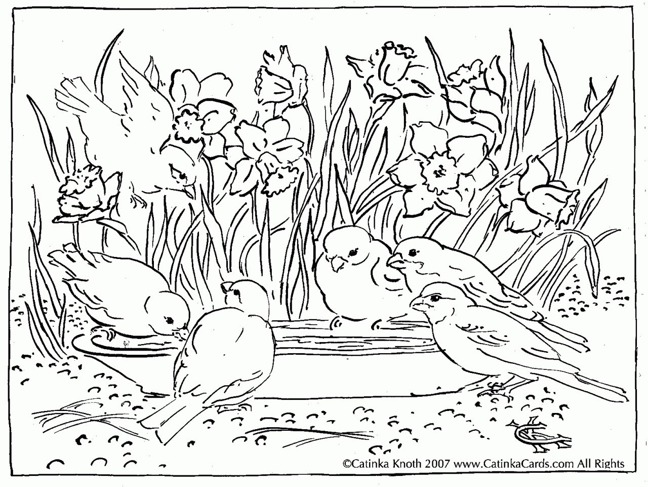 1280x961 Hard Garden Coloring Pages New Spring Birds Adult