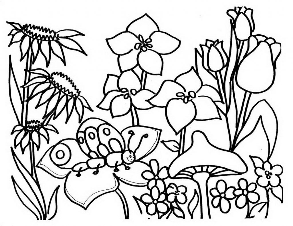 1024x791 Free Coloring Pages Garden Toolsreshlower Amazing Beautiful Page