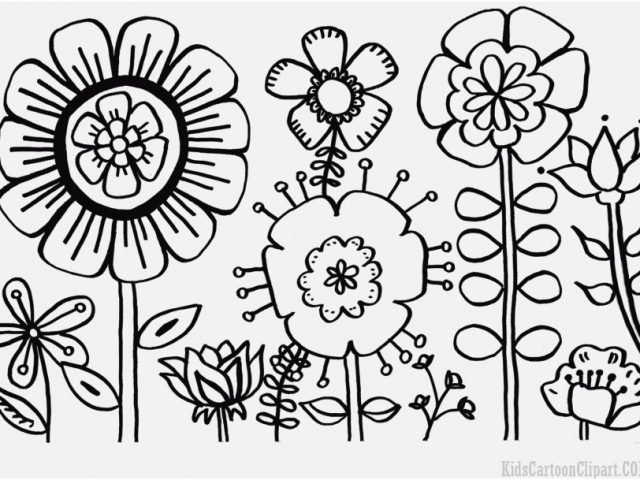 640x480 Garden Coloring Pages Capture Flower Garden Coloring Pages