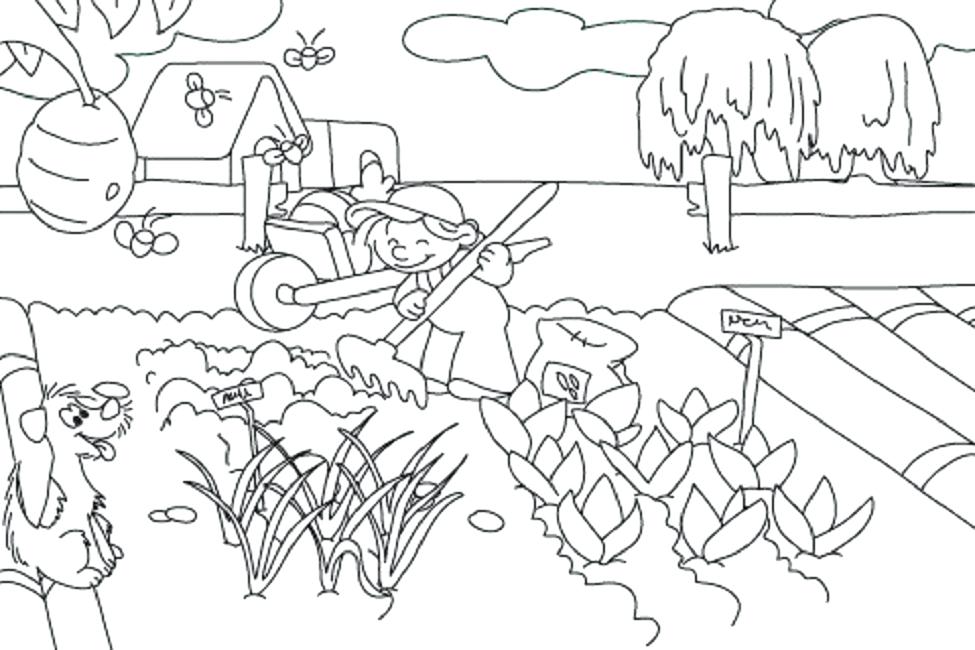 975x650 Vegetable Garden Coloring Pages