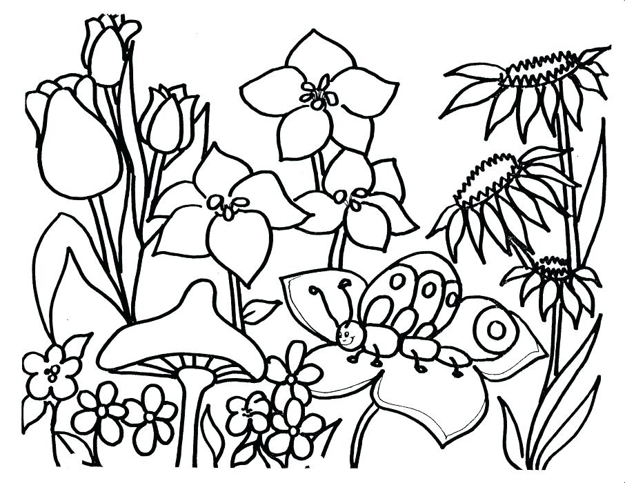 906x700 Flower Color Pages Spring Flowers Coloring Pages Flower Garden