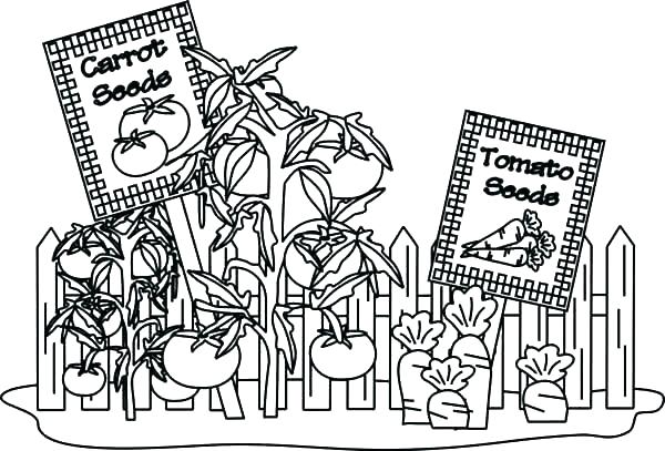 600x407 Garden Coloring Pages Coloring Pages For Kids Man Takes Care