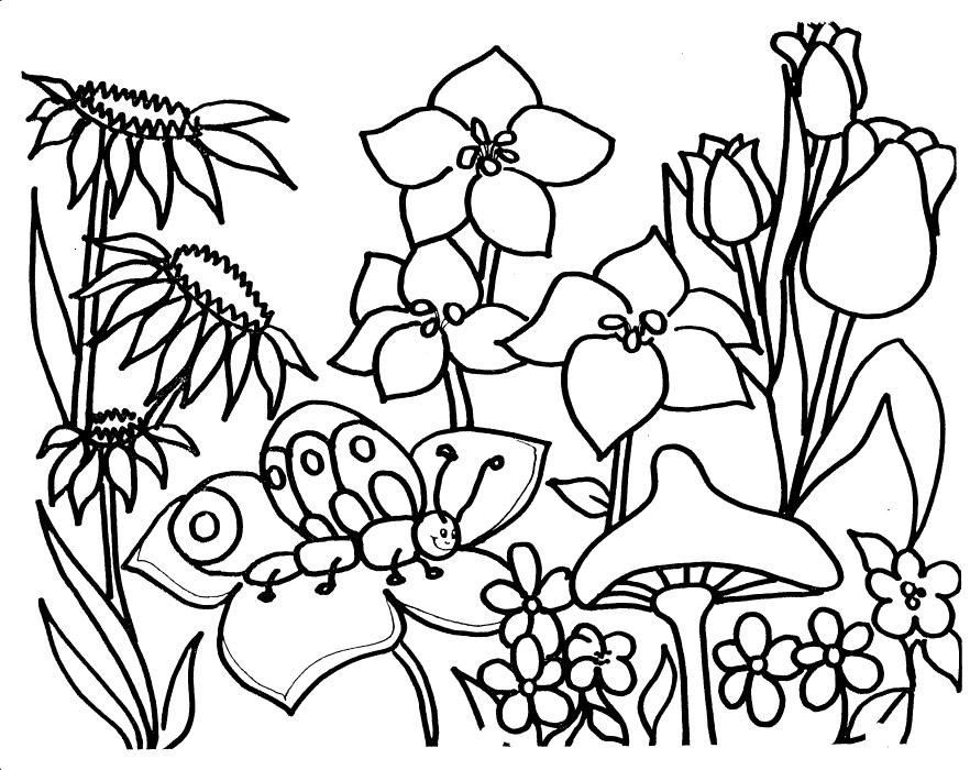 882x700 Sweet Inspiration Garden Coloring Pages For Adults Preschool