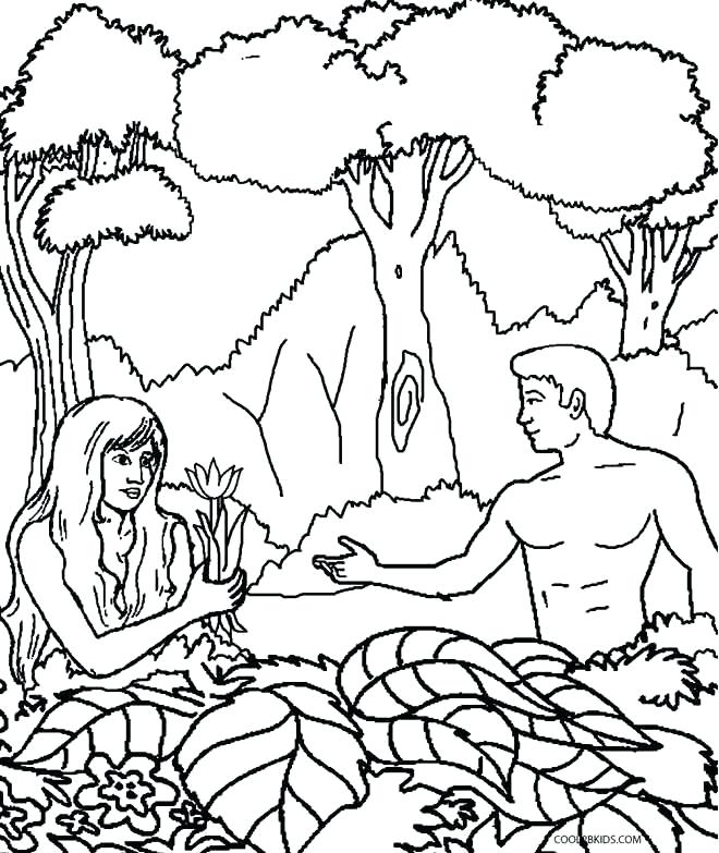 660x783 Blank Colouring Page Gods Truth For Garden Of Eden Coloring Page