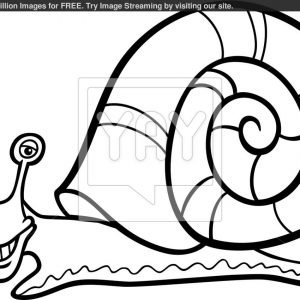 300x300 Adult Snail Colouring Pages Snail Coloring Pages For Kids Snail