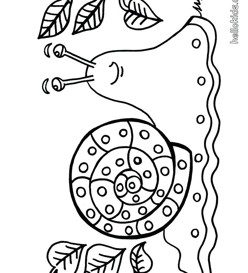 820x900 Snail Coloring Pages