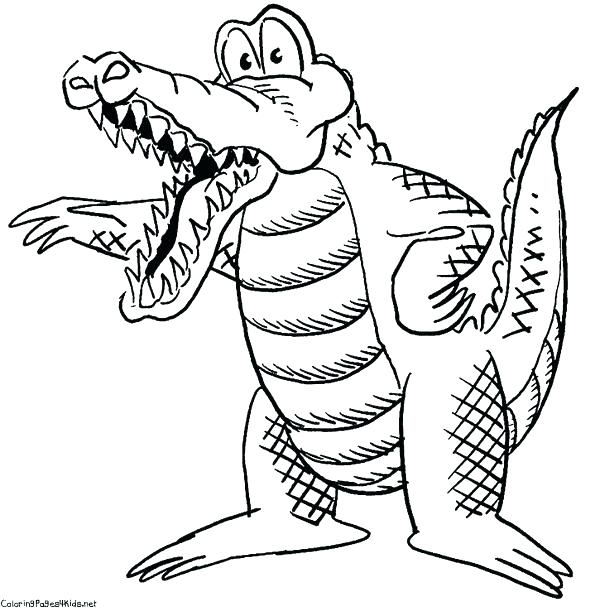 600x616 Florida Gators Coloring Pages Alligator Coloring Pages New Free