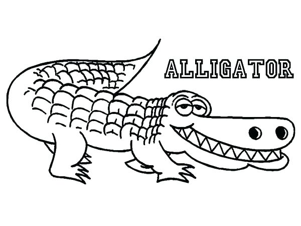 600x450 Free Printable Alligator Coloring Page For Kids Printable Cartoon