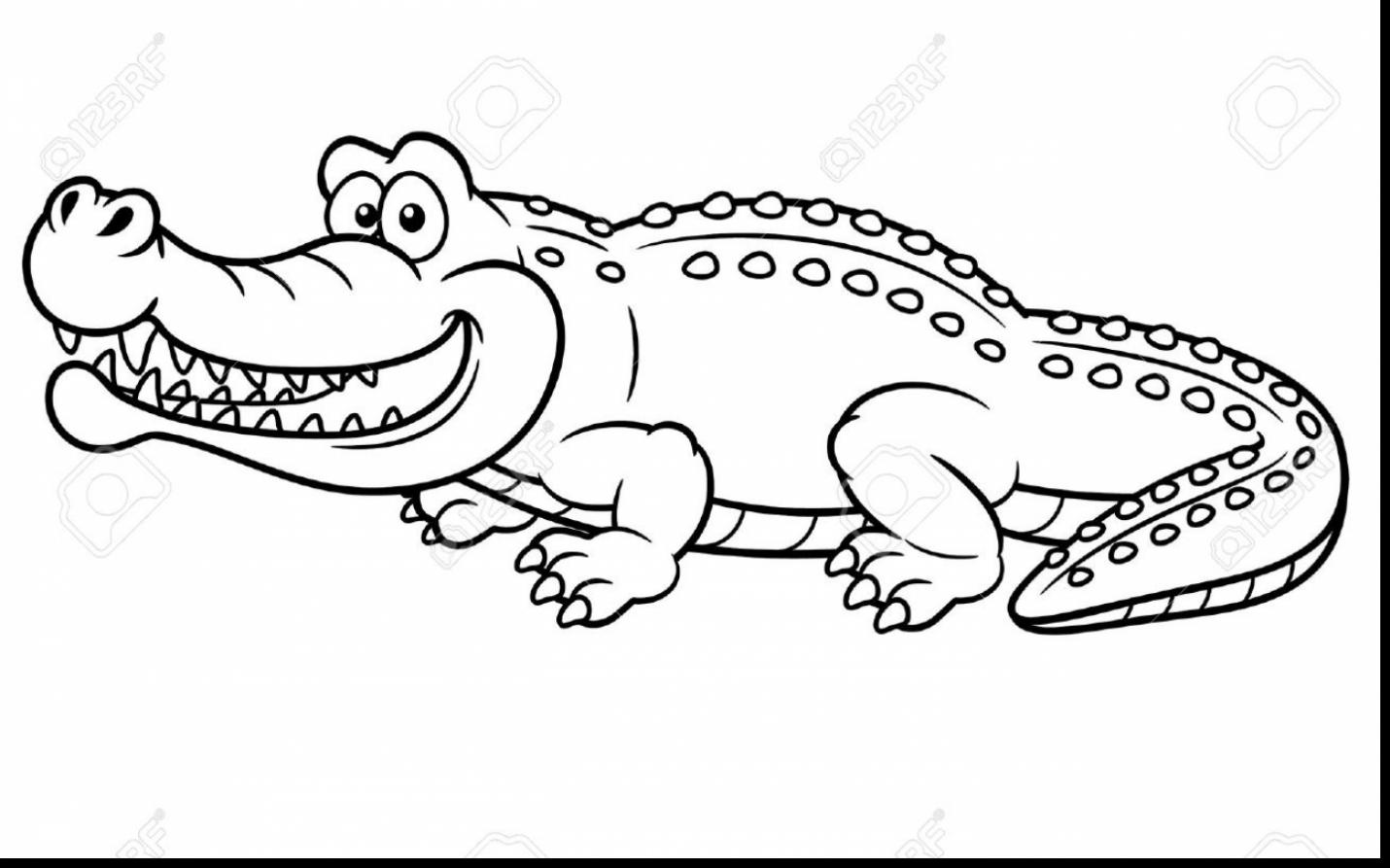1430x893 Surprising Alligator Coloring Pages With Alligator Coloring Page
