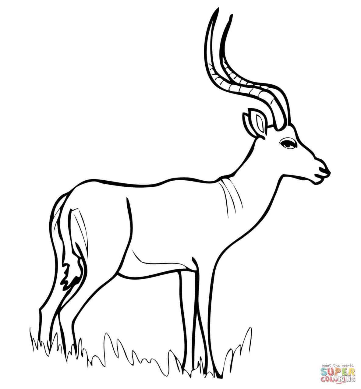 1185x1277 Zootopia Gazelle Coloring Page Online Coloring Printable