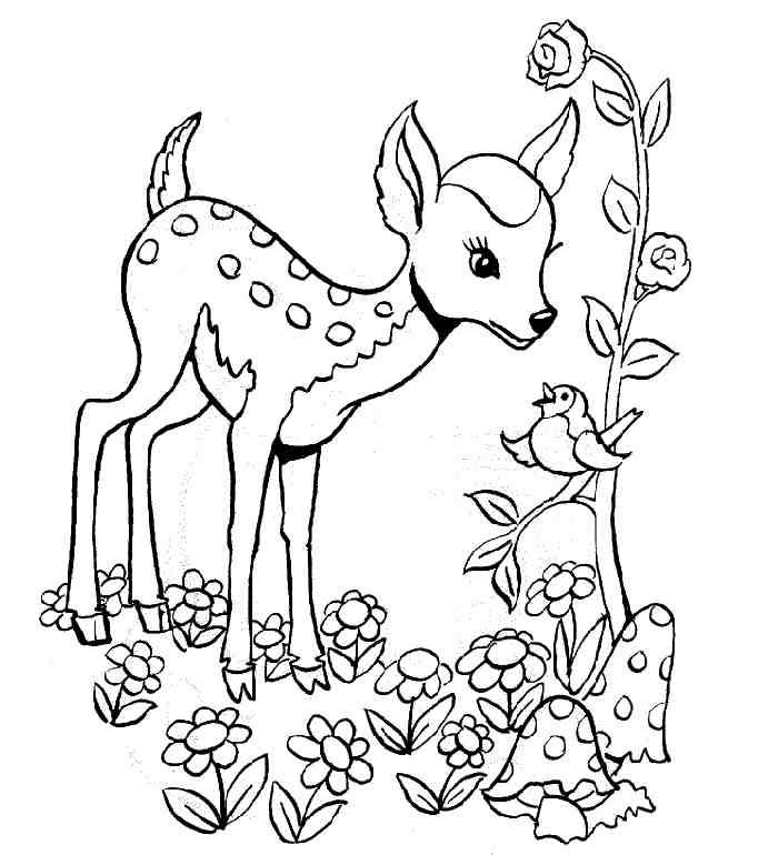 691x770 Free Animals Gazelle Printable Coloring Pages For Preschool