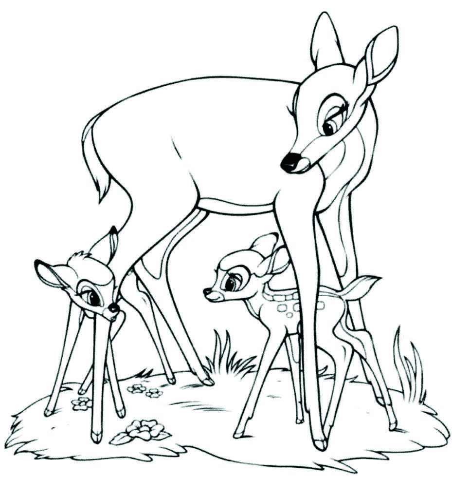 929x981 Free Animals Gazelles Printable Coloring Pages For Preschool