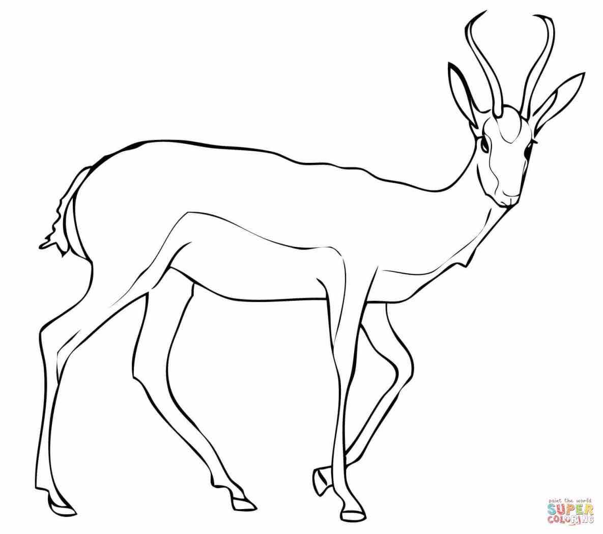 1185x1049 Gazelle Coloring Page Web Coloring Pages