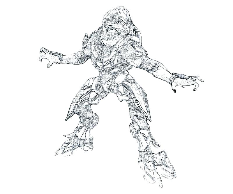 800x667 Spartan Coloring Pages H Coloring Pages H Coloring Sheets