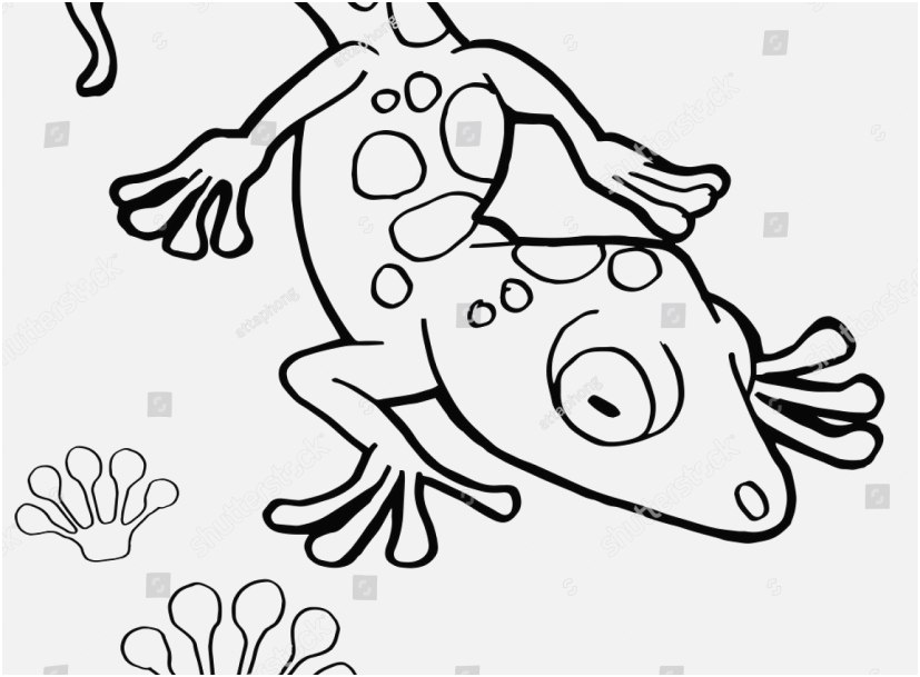 827x609 The Best Display Gecko Coloring Pages Wonderful