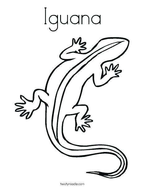 468x605 Gecko Coloring Page Gecko Coloring Pages Iguana Coloring Pages