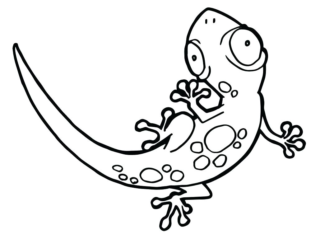 1000x768 Coloring Pages Of Lizards Gecko Coloring Page Masks Gecko Coloring