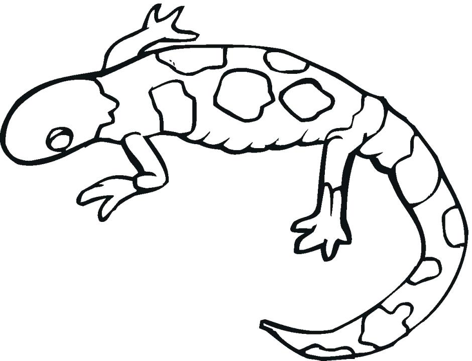 940x719 Gecko Lizard Coloring Pages Great Leopard Gecko Coloring Pages Fee