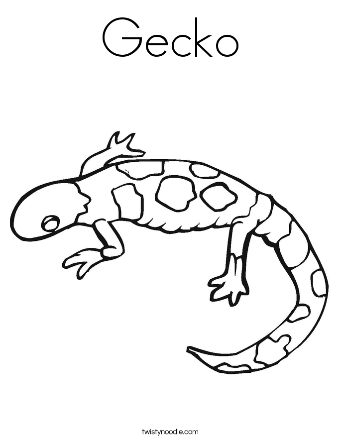 685x886 Gecko Coloring Page