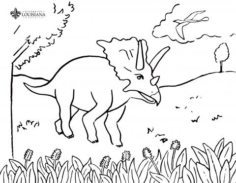 480x371 Activity Pages University Of Louisiana