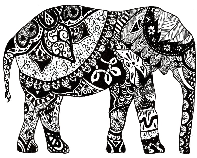 800x641 Adult Coloring Page India Indian Elephant