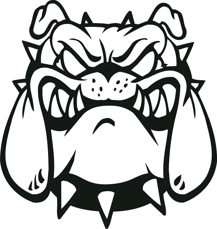 736x777 Bulldog Coloring Pages