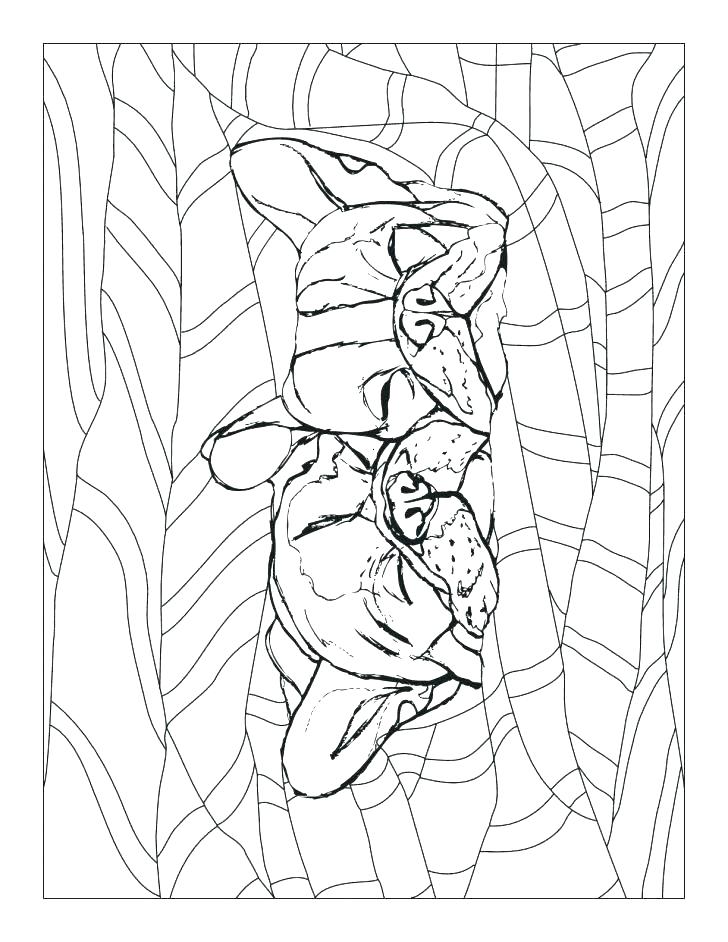 728x942 Georgia Bulldog Coloring Pages