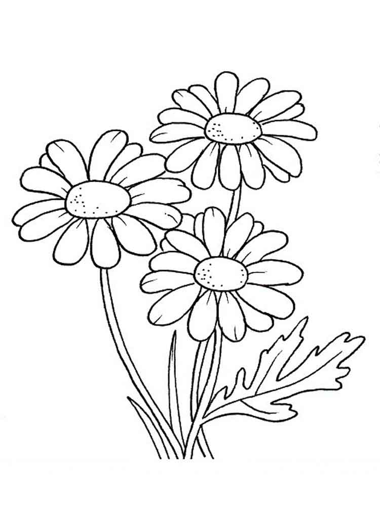 750x1000 Daisy Coloring Pages