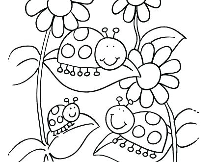 440x330 Exelent Gerber Daisy Coloring Pages Photo