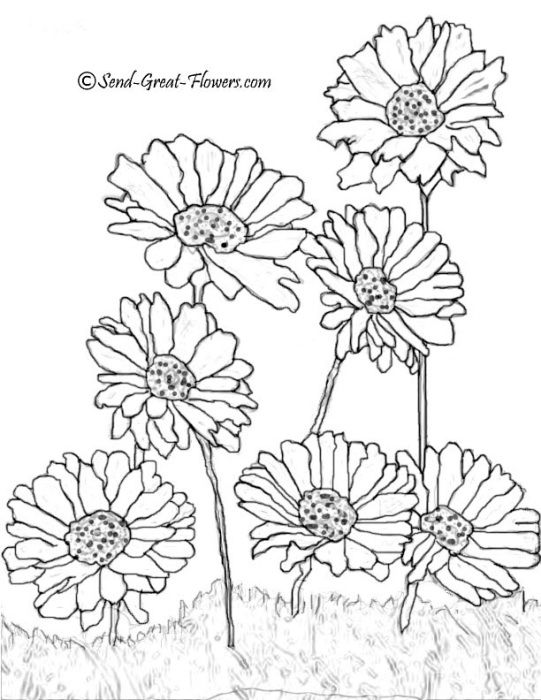 541x700 Best Flower Printables Images On Coloring Books