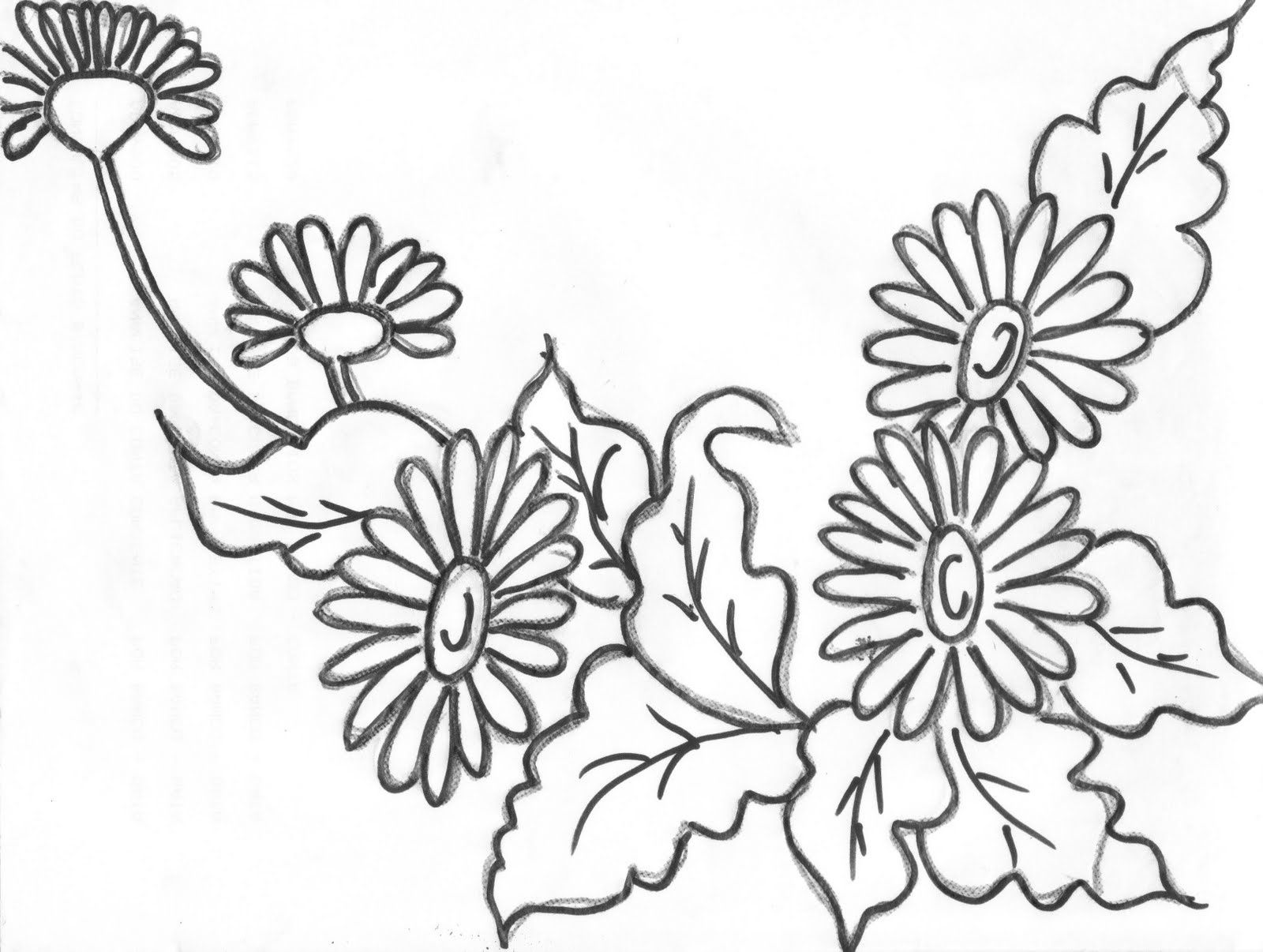 1600x1206 Best Daisy Flower Outline Clip Art On Pict Of Coloring Pages