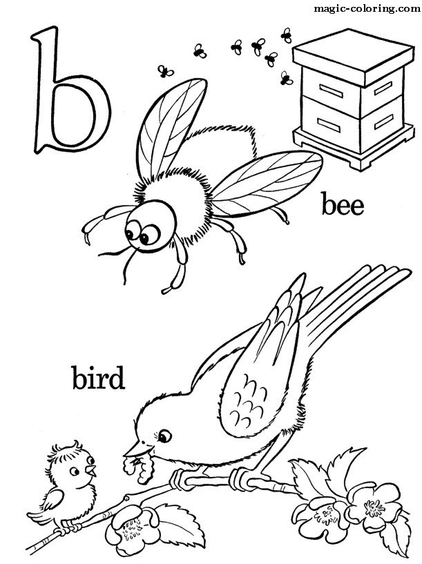 611x817 Gerbera Daisy Coloring Pages
