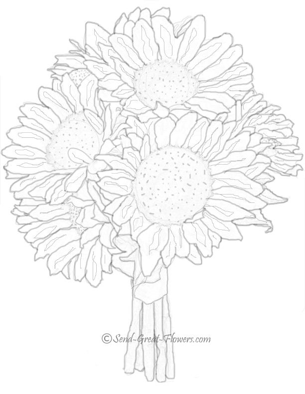 612x792 Sunflower Summer Coloring Page Projects To Try