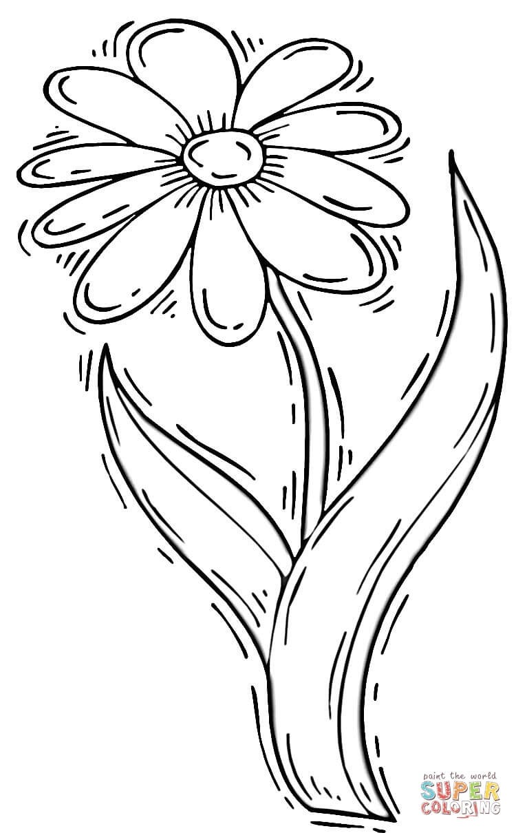 750x1210 Coloring Pages Of Daisy Flower Best Of Daisy Flower Coloring Page