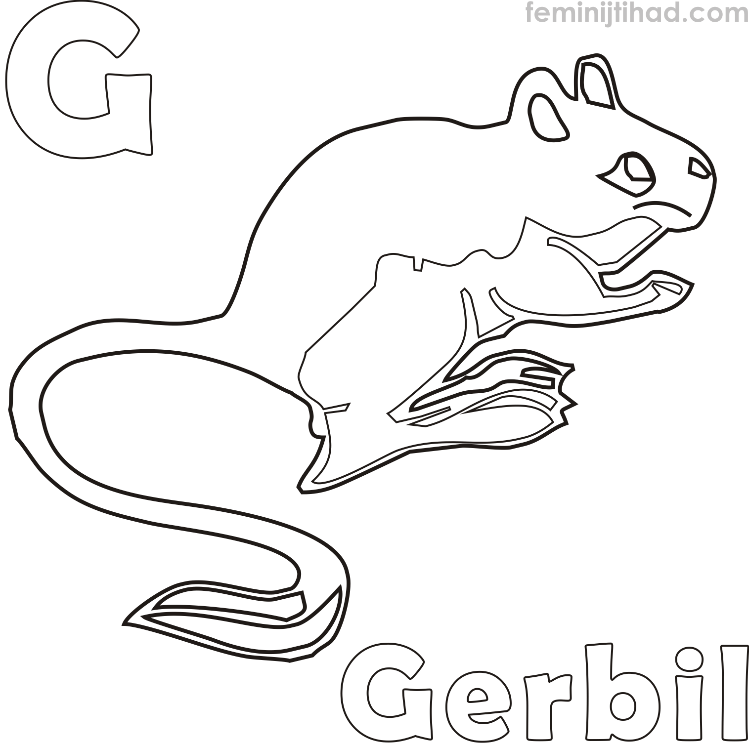 1515x1504 Gerbil Coloring Pages Collection Coloring Pages For Kids