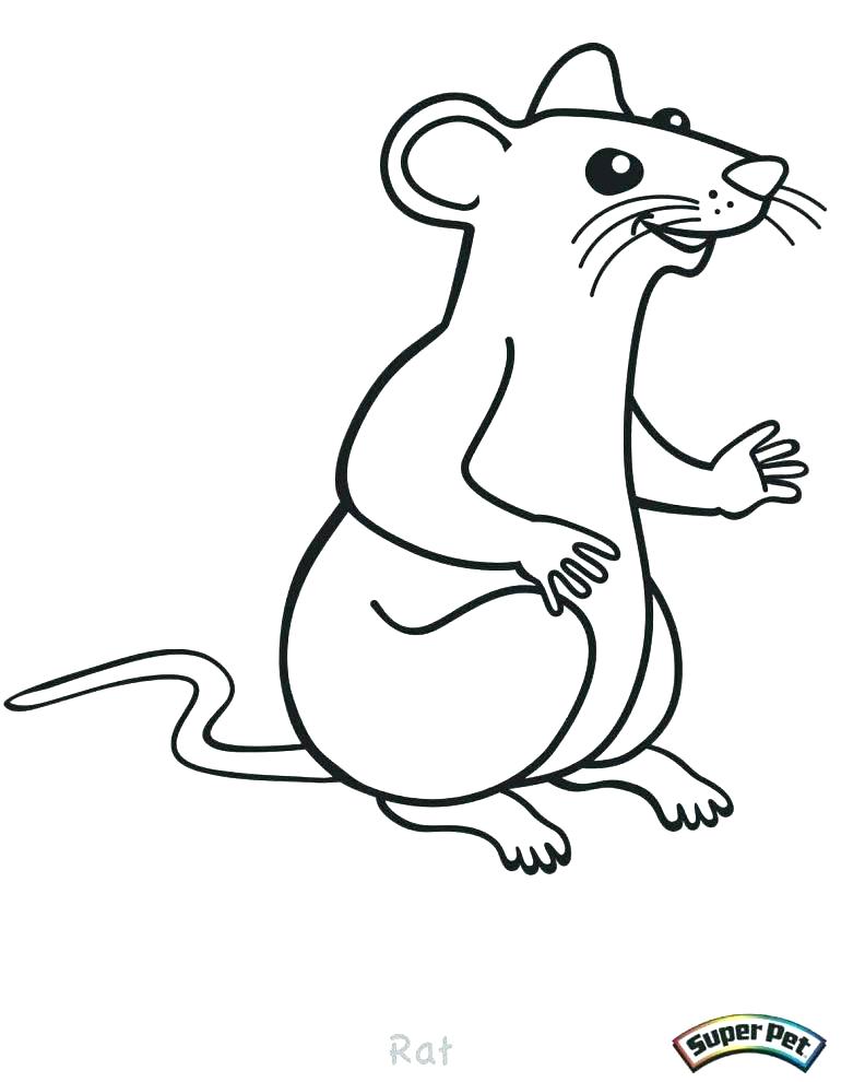 792x990 Rat Coloring Pages Gerbil Coloring Pages Rat Coloring Pages Large