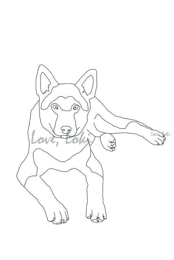 570x851 German Shepherd Coloring Pages Shepherd Coloring Pages Printable