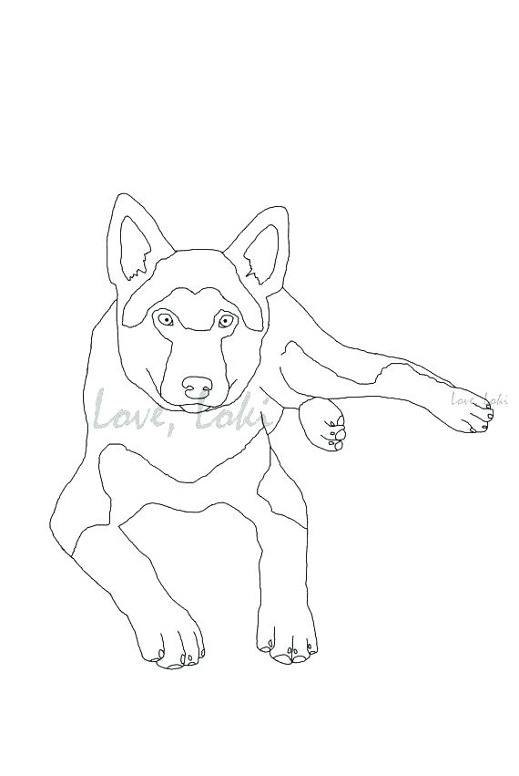 570x851 German Shepherd Coloring Pages Shepherd Coloring Page Realistic