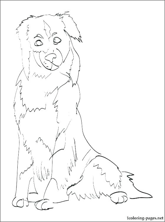 560x750 German Shepherd Puppy Coloring Pages Shepherd Coloring Pages
