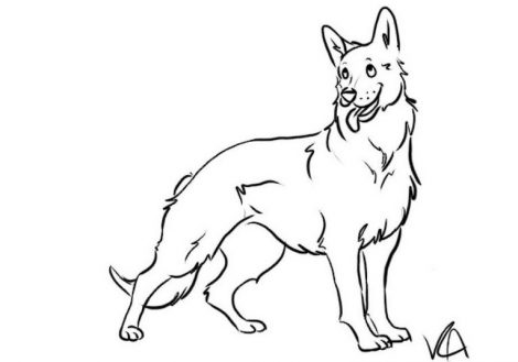 470x329 German Shepherd Coloring Pages To Download And Print For Free
